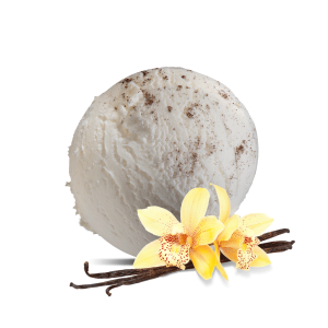 Vanilla