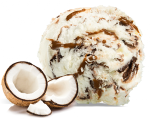 Bounty Gelato Bounty Gelato