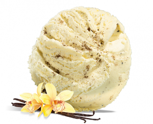 Heavenly Vanilla Gelato Heavenly Vanilla Gelato
