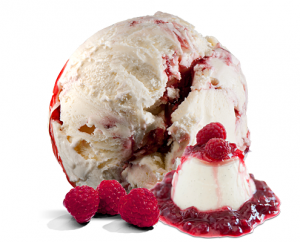 Panna Cotta Gelato Panna Cotta Gelato