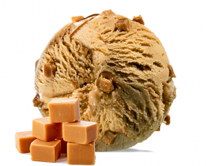 Toffee Fudge Gelato Toffee Fudge Gelato